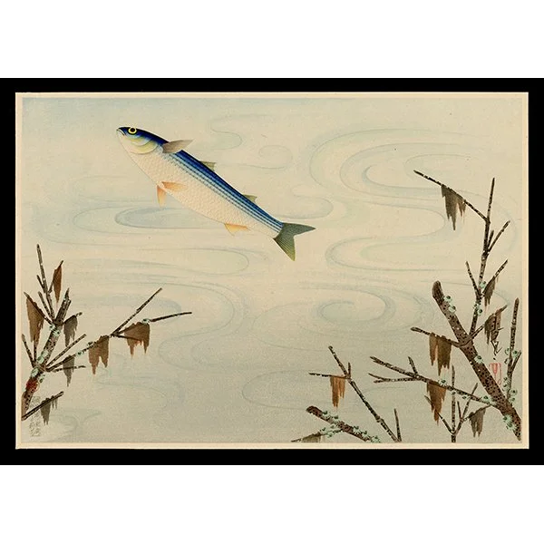 <b>GREY MULLET (BORA)</b> / <em>Bakufu Ohno<br>1940<br><br><b>SOLD</b></em>