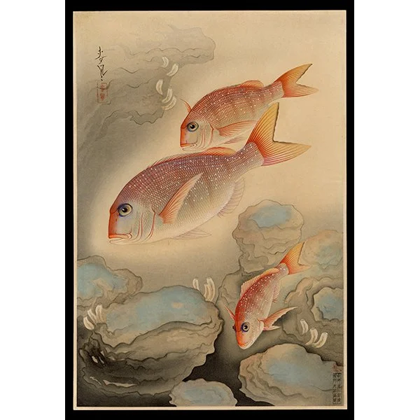 <b>SEA BREAM (TAI)</b> / <em>Bakufu Ohno<br>1937<br><br><b>SOLD</b></em>
