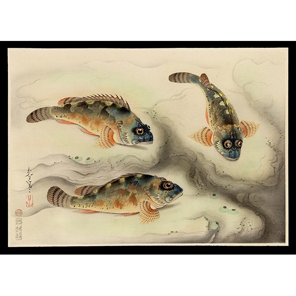 <b>ROSEFISH (KASAGO)</b> / <em>Bakufu Ohno<br>1939<br><br><b>SOLD</b></em>
