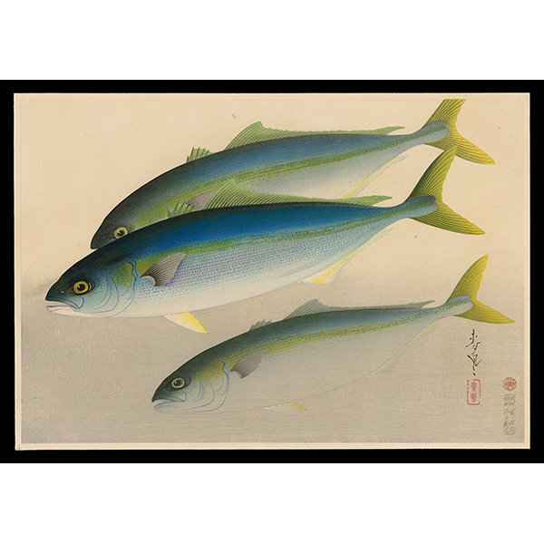 <b>YELLOWTAIL (HAMACHI)</b> / <em>Bakufu Ohno<br>1939<br><br><b>SOLD</b></em>