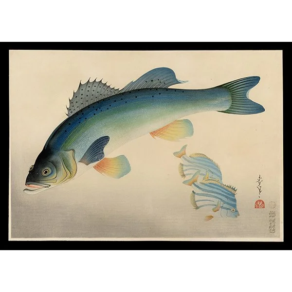 <b>SEA BASS (SUZUKI)</b> / <em>Bakufu Ohno<br>1939<br><br><b>RESERVED</b></em>