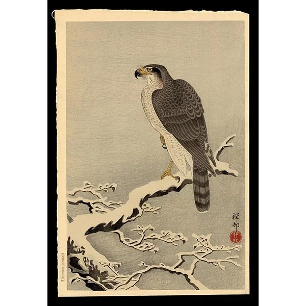 <b>GOSHAWK ON SNOWY BRANCH</b> / <em>Ohara Shoson<br>1937<br><br><B>SOLD</B></em>
