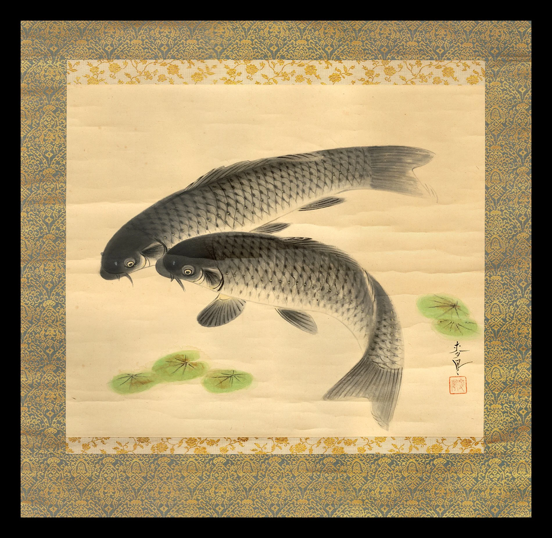 41-carp-web.jpg