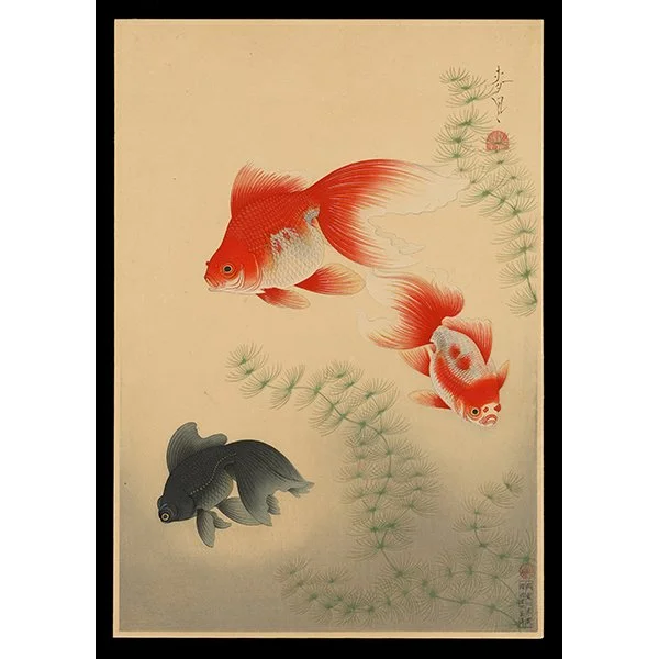 <b>GOLDFISH (KINGYO)</b> / <em>Bakufu Ohno<br>1938<br><br><b>SOLD</b></em>