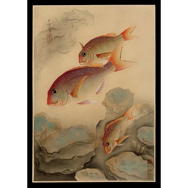 <b>SEA BREAM (TAI)</b> / <em>Bakufu Ohno<br>1937<br><br><b>RESERVED</b></em>