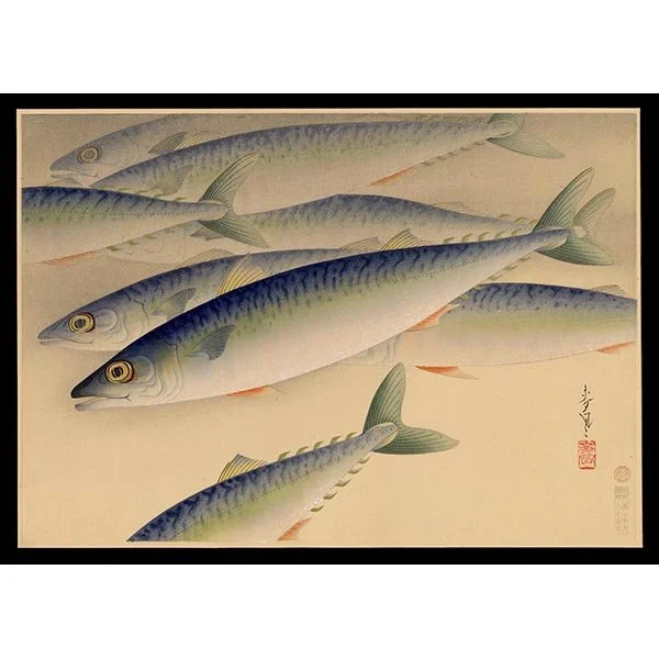 <b>MACKEREL (SABA)</b> / <em>Bakufu Ohno<br>1937<br><br><b>RESERVED</b></em>