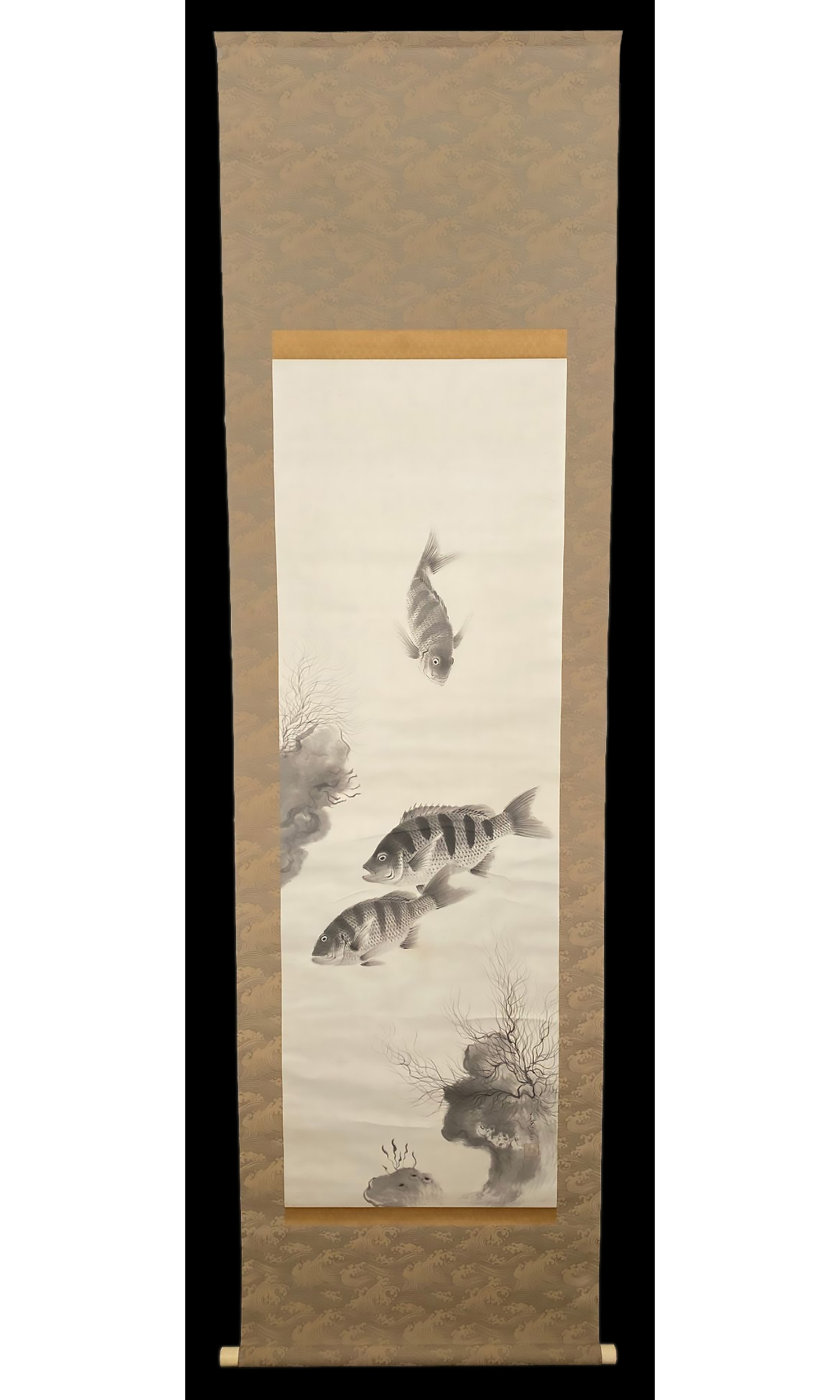three-freshwater-fish.png