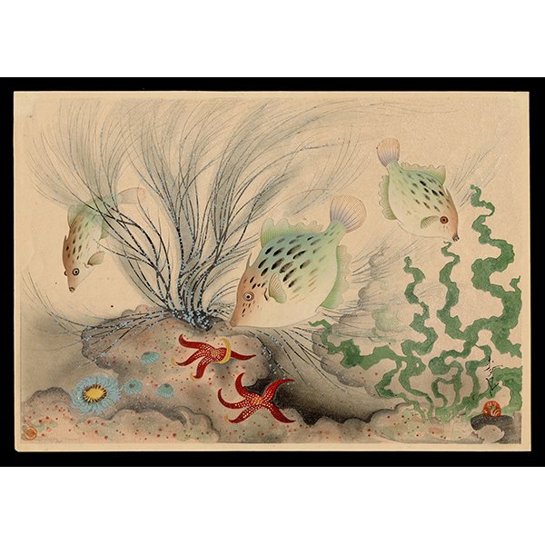 <b>FILE-FISH (KAWAHAGI)</b> / <em>Bakufu Ohno<br>1938<br><br><b>SOLD</b></em>