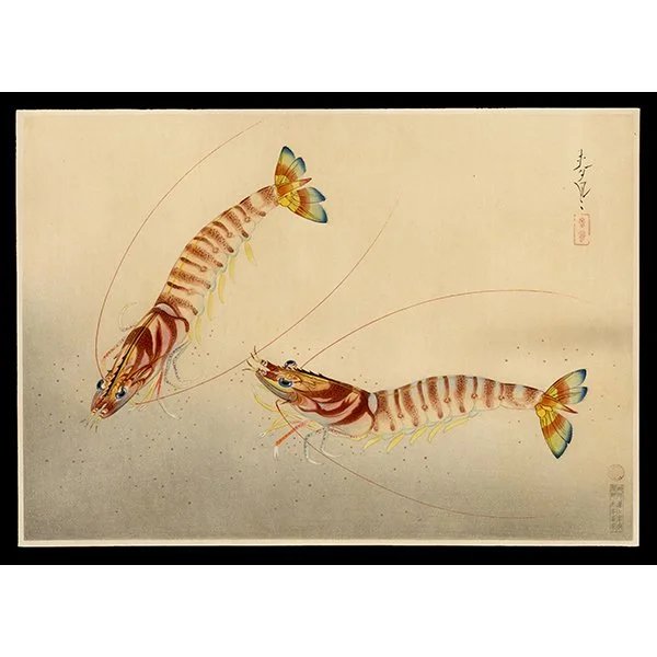 <b>SHRIMP (KURUMA-EBI)</b> / <em>Bakufu Ohno<br>1939<br><br><b>SOLD</b></em>