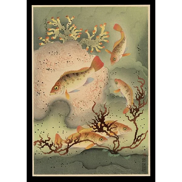 <b>ROCKFISH (MEBARU)</b> / <em>Bakufu Ohno<br>1938<br><br><b>SOLD</b></em>