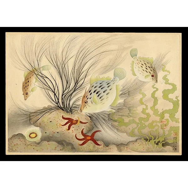 <b>FILE-FISH (KAWAHAGI)</b> / <em>Bakufu Ohno<br>1938<br><br><B>SOLD</B></em>