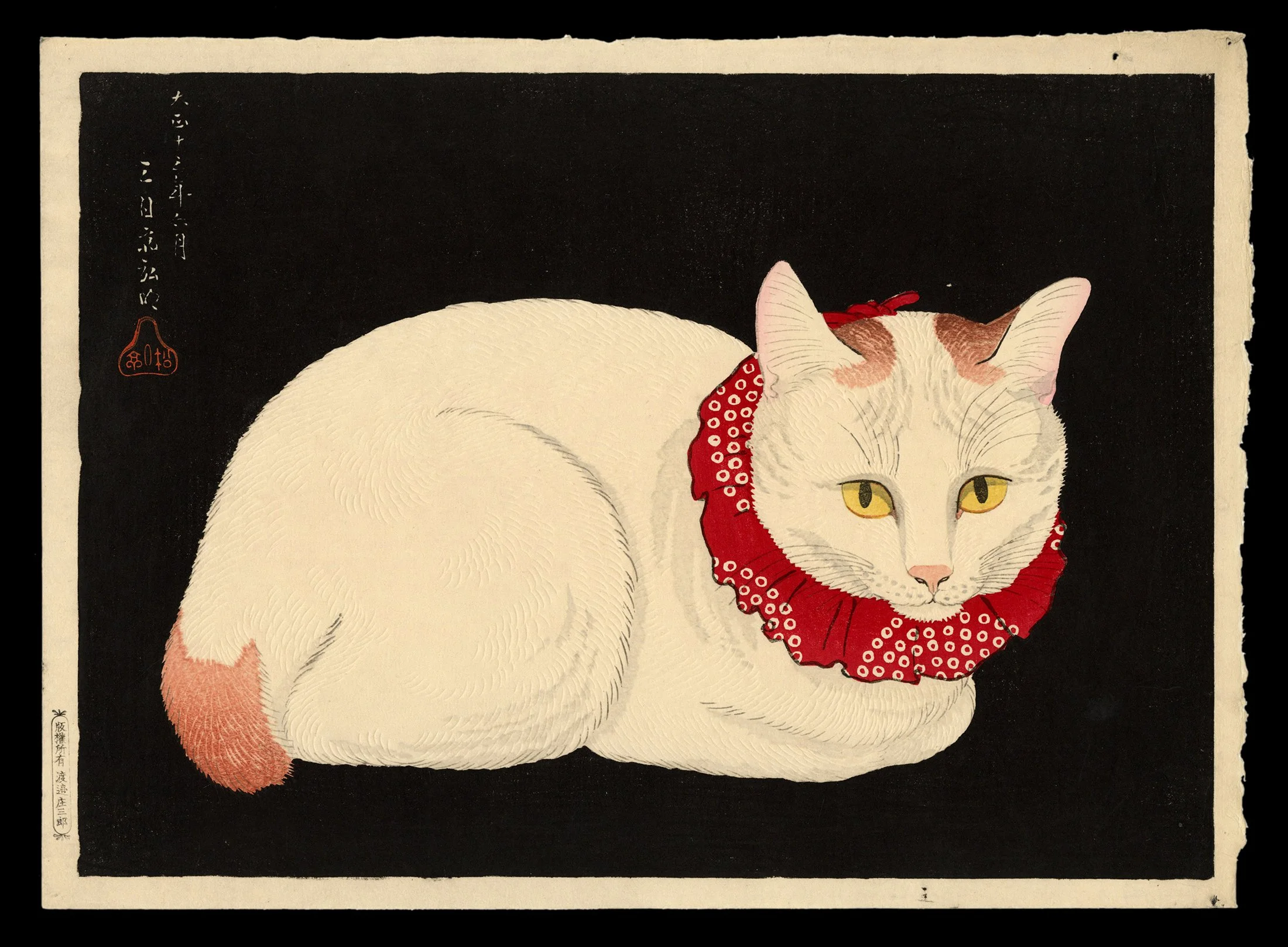 White Cat with Red Ruffled Collar (Tama) | Takahashi Hiroaki