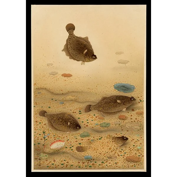 <b>FLOUNDER FLATFISH (KAREI)</b> / <em>Bakufu Ohno<br>1938<br><br><b>SOLD</b></em>