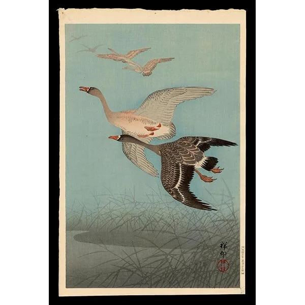 <b>WILD GEESE</b> / <em>Ohara Shoson<br>1926<br><br>$1,800</em>