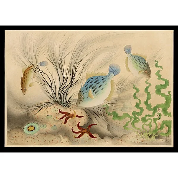 <b>FILE-FISH (KAWAHAGI)</b> / <em>Bakufu Ohno<br>1938<br><br><b>SOLD</b></em>