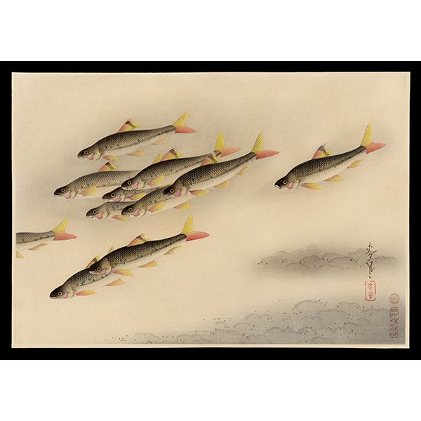 <b>SCHOOL OF HIGAI FISH</b> / <em>Bakufu Ohno<br>1939<br><br><b>SOLD</b></em>