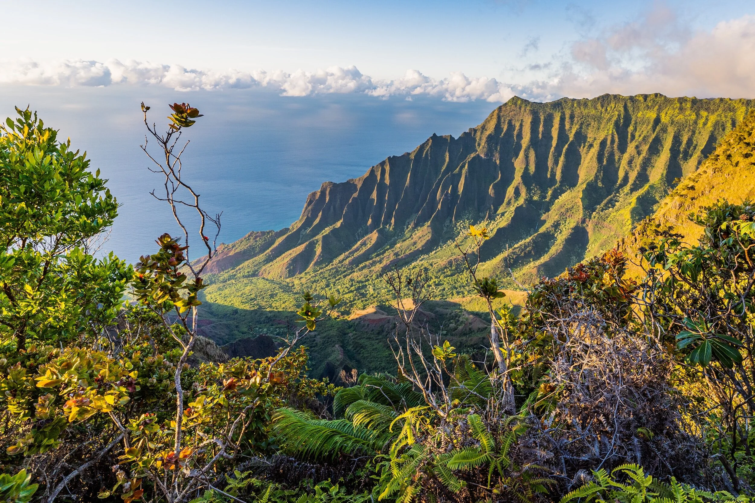 View of Napali coast, Hawaii