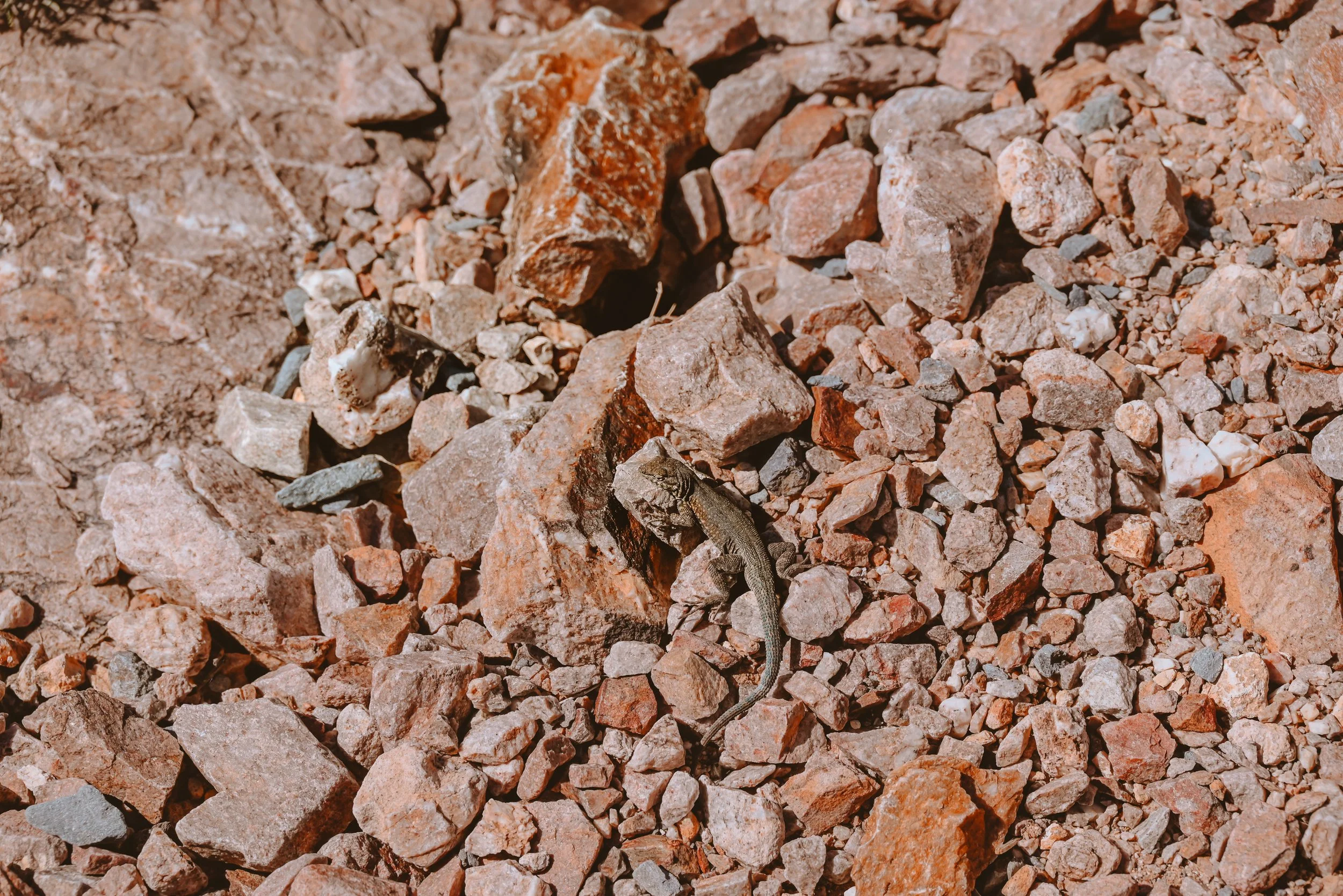 Trip to Inyo Mine through Echo Canyon, Death Valley National Park