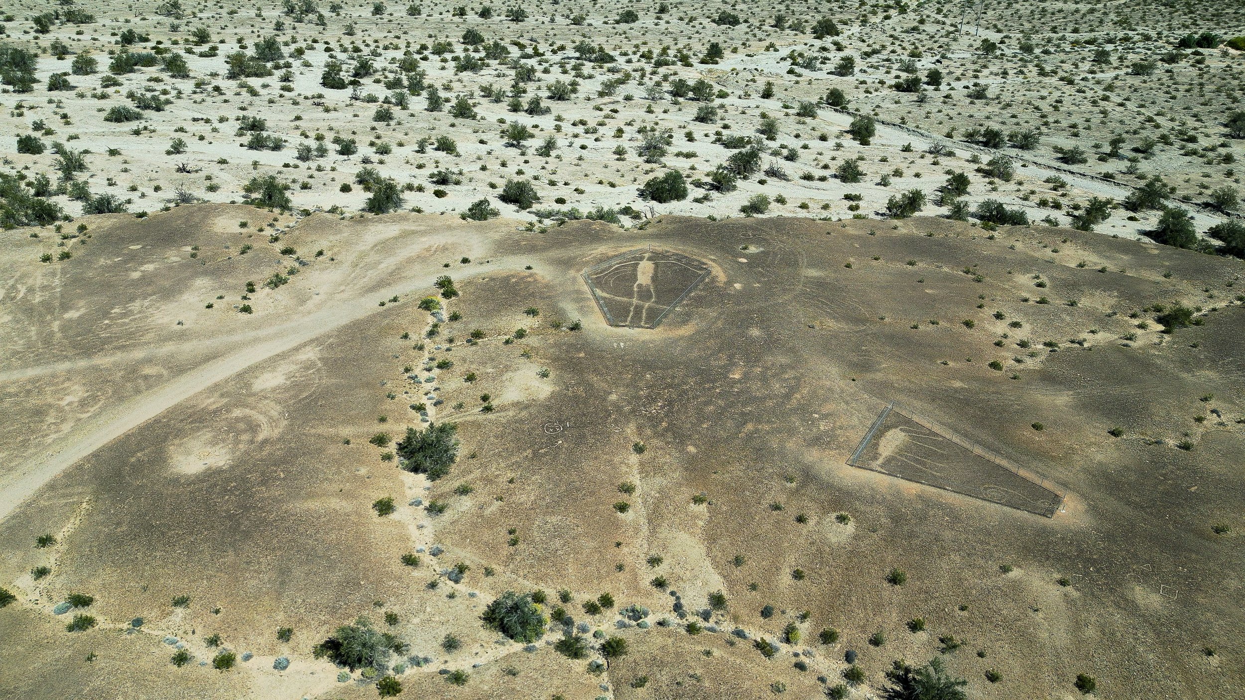 Blythe Intaglios
