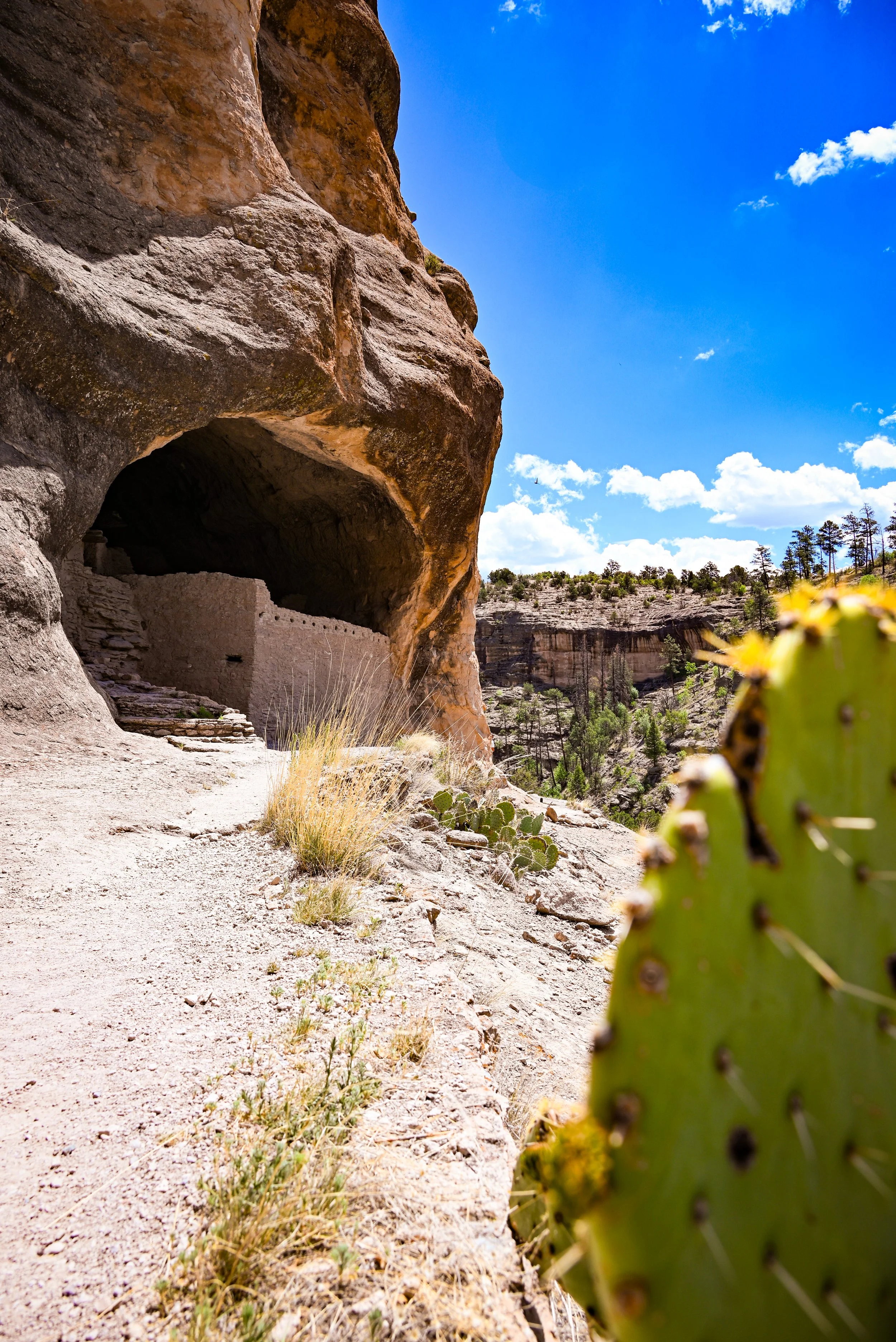 Gila Cliff Dwellings