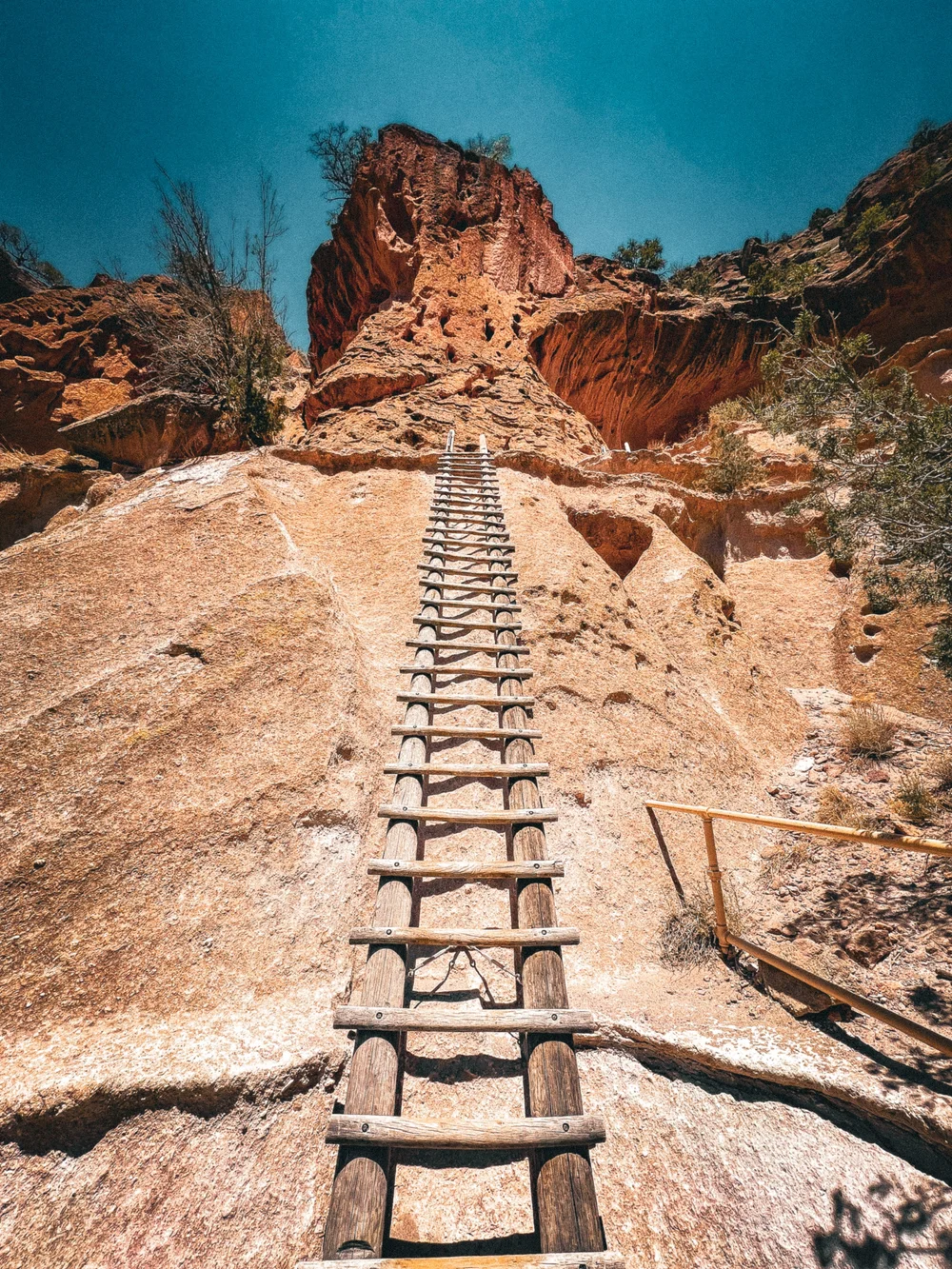 The second and tallest ladder at Alcove House