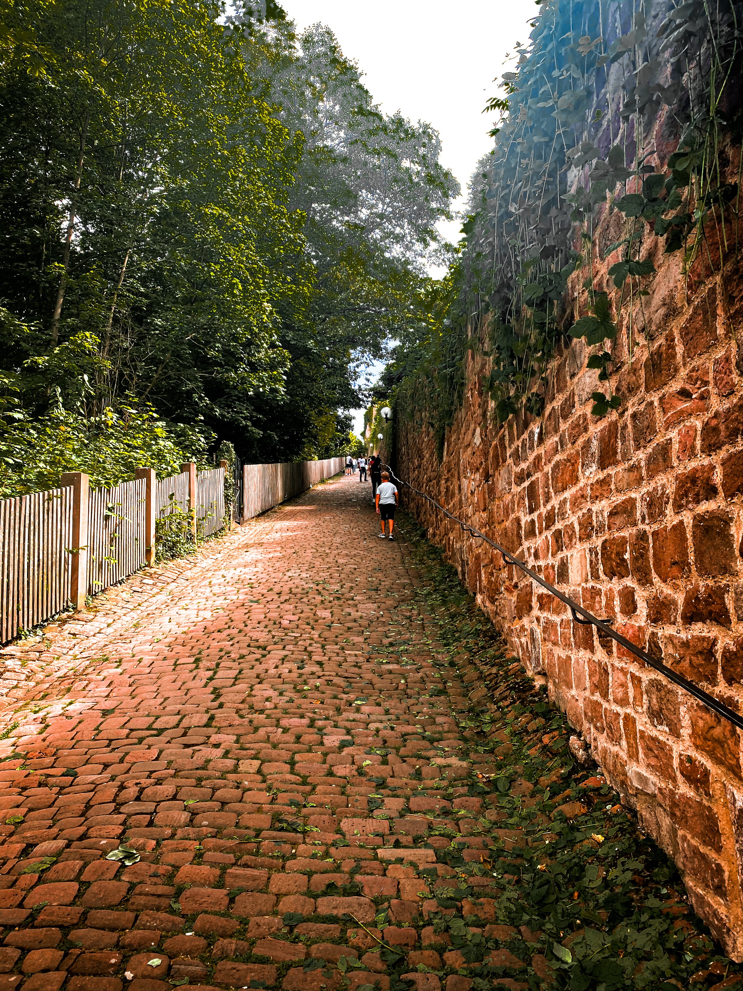 Steep walk up the hill to Heidelberg castle