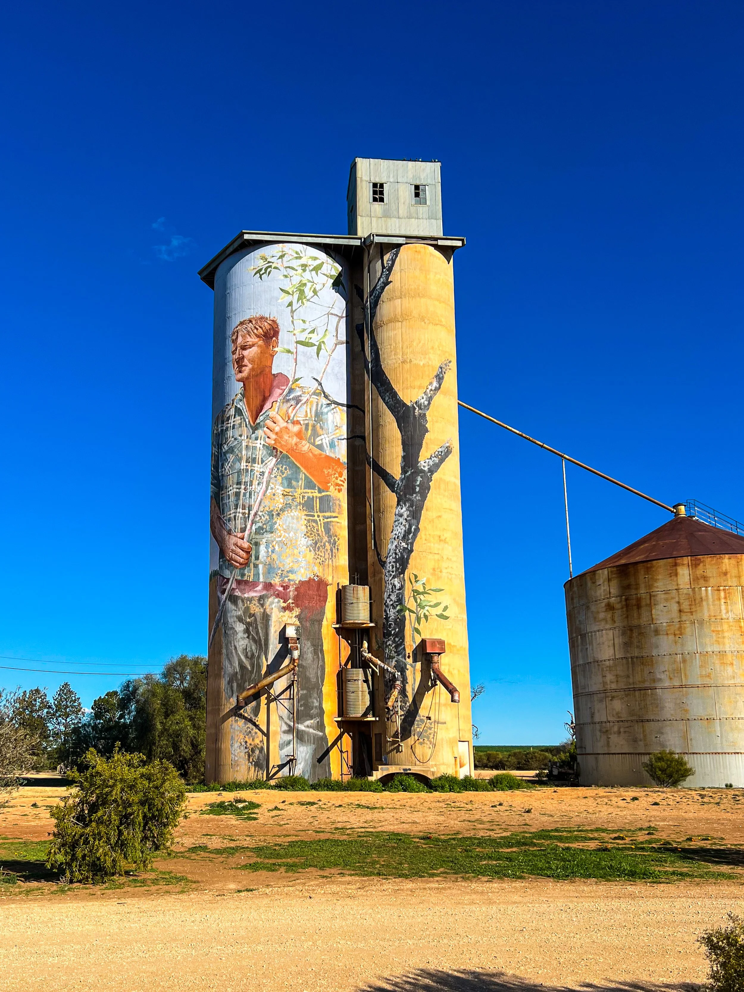 Patchewallup silo, Silo Art Trail, Victoria, Australia