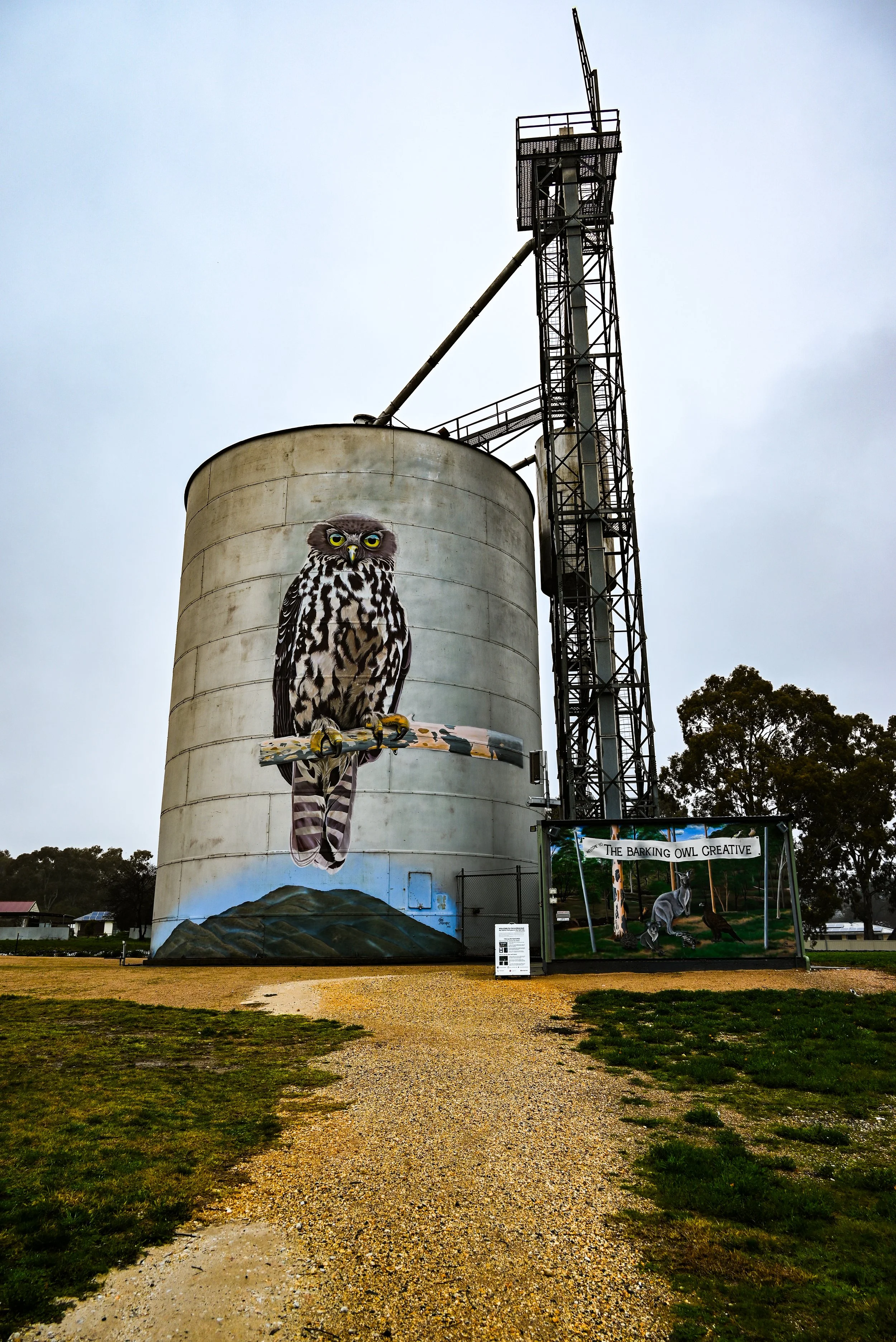 DSC_7288-2.jpg