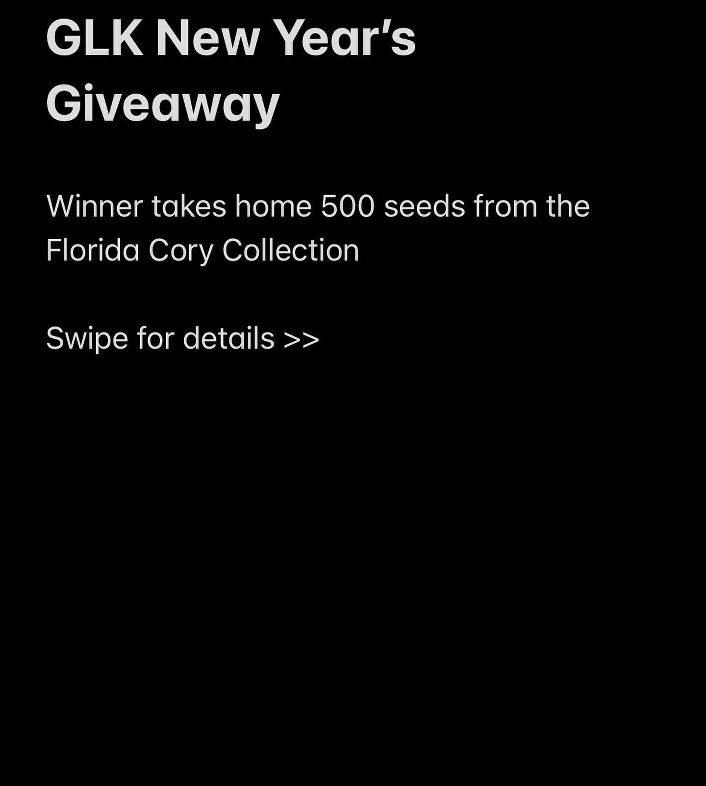 GLK new years giveaway!! This is a big one with 500 seeds going out valued at over $4000. Winner gets to select from the Florida Cory seed collection of 2022. Sponsored by @coryczapiga @great_lakes_kush 

#glkgenetics #greatlakeskush #giveaway #freeb