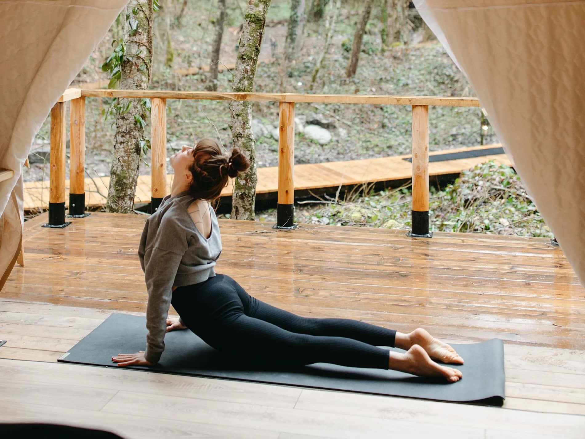 Правило фитнес. В гостях у природы растяжка.