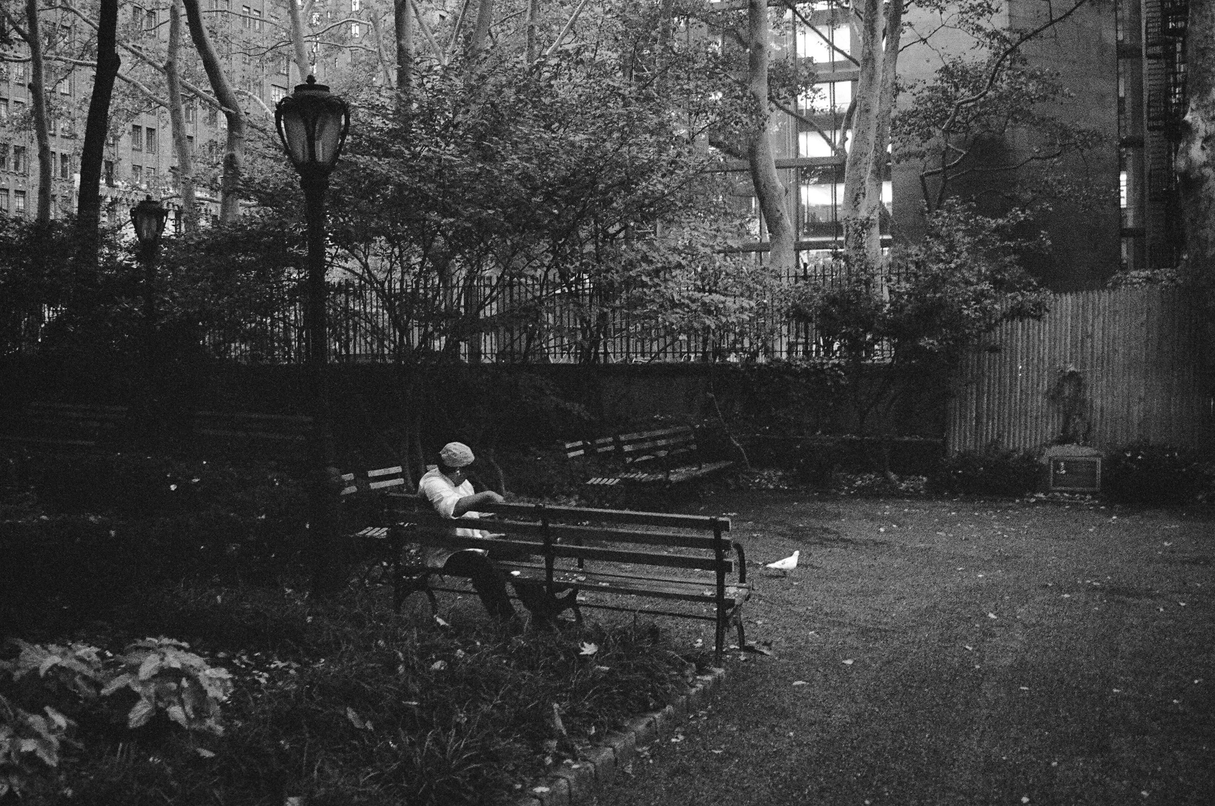 The Man and the Bird, 2023.jpg