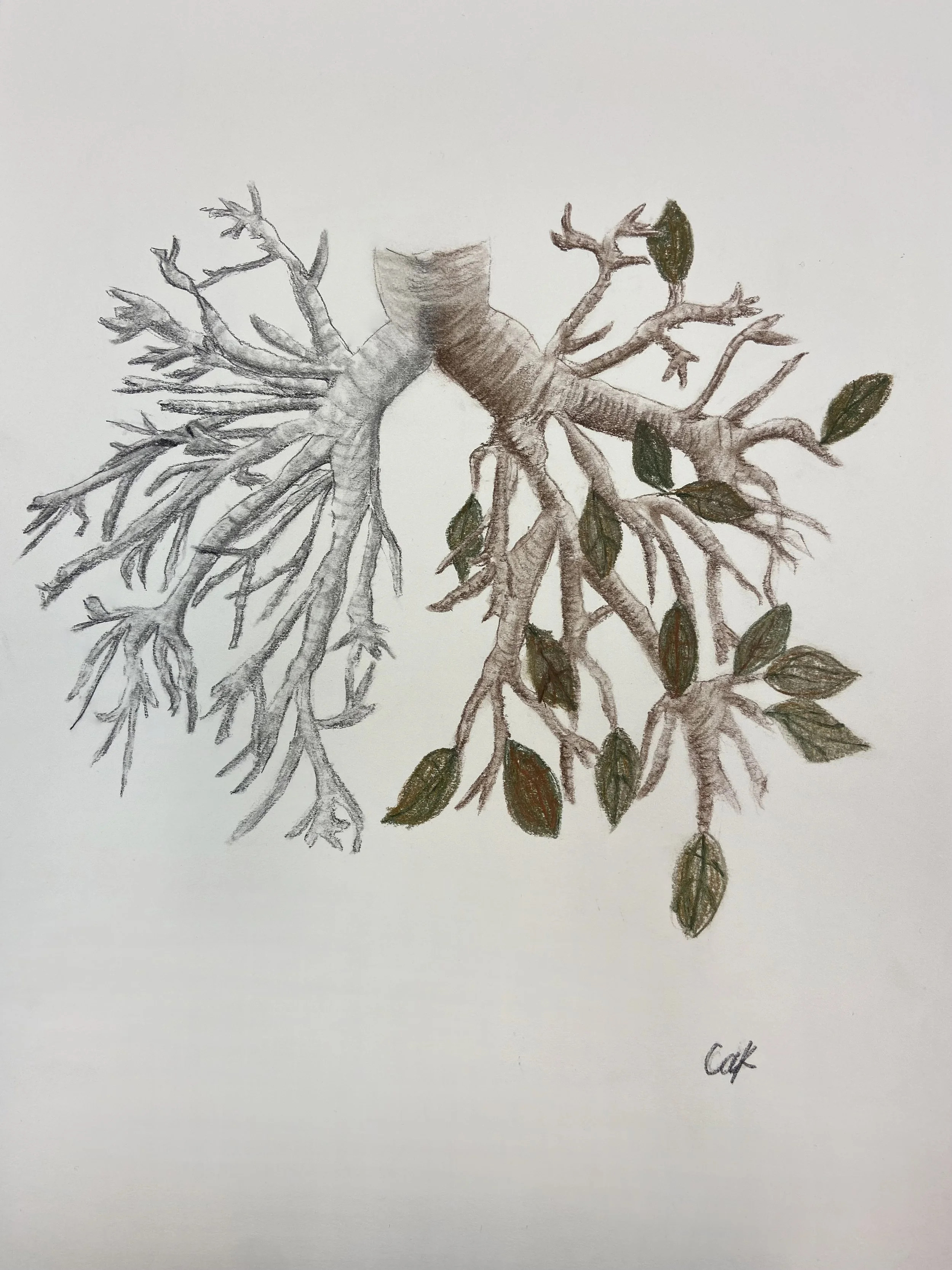 [final] Branching together, 2021.jpg