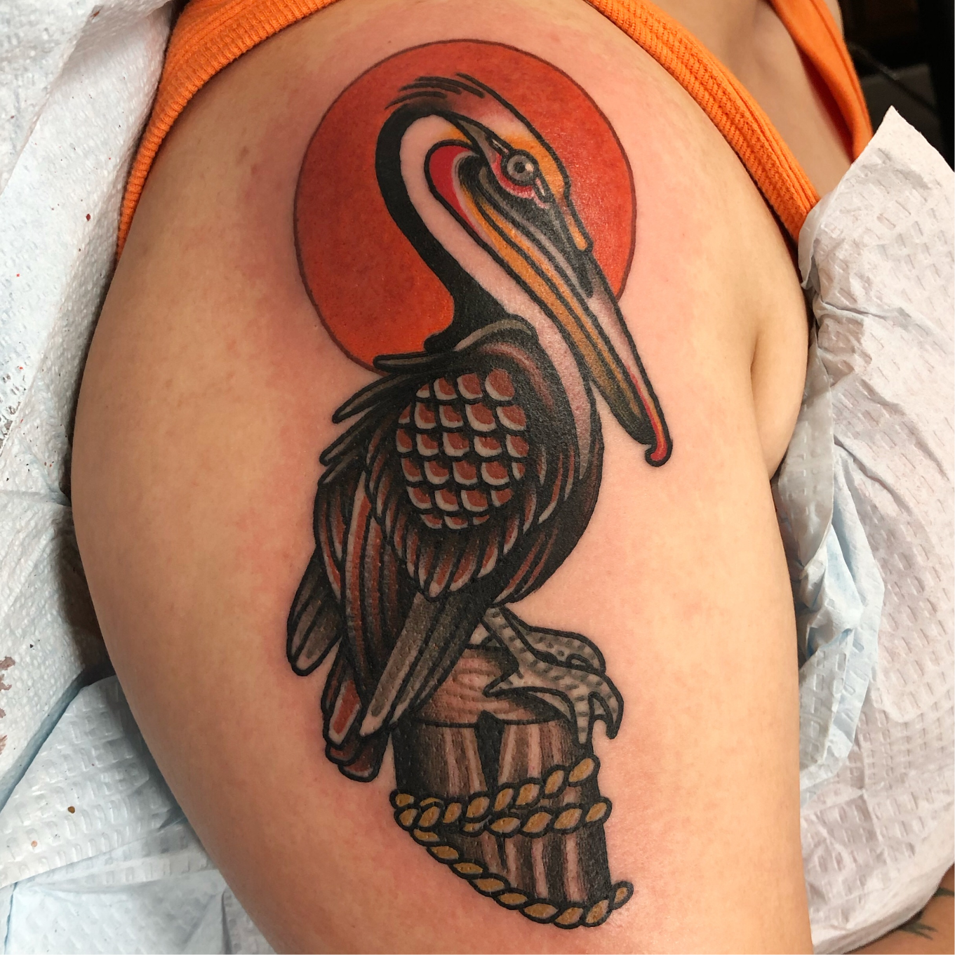 Pelican  Pelican tattoo Pelican drawing Pelican art