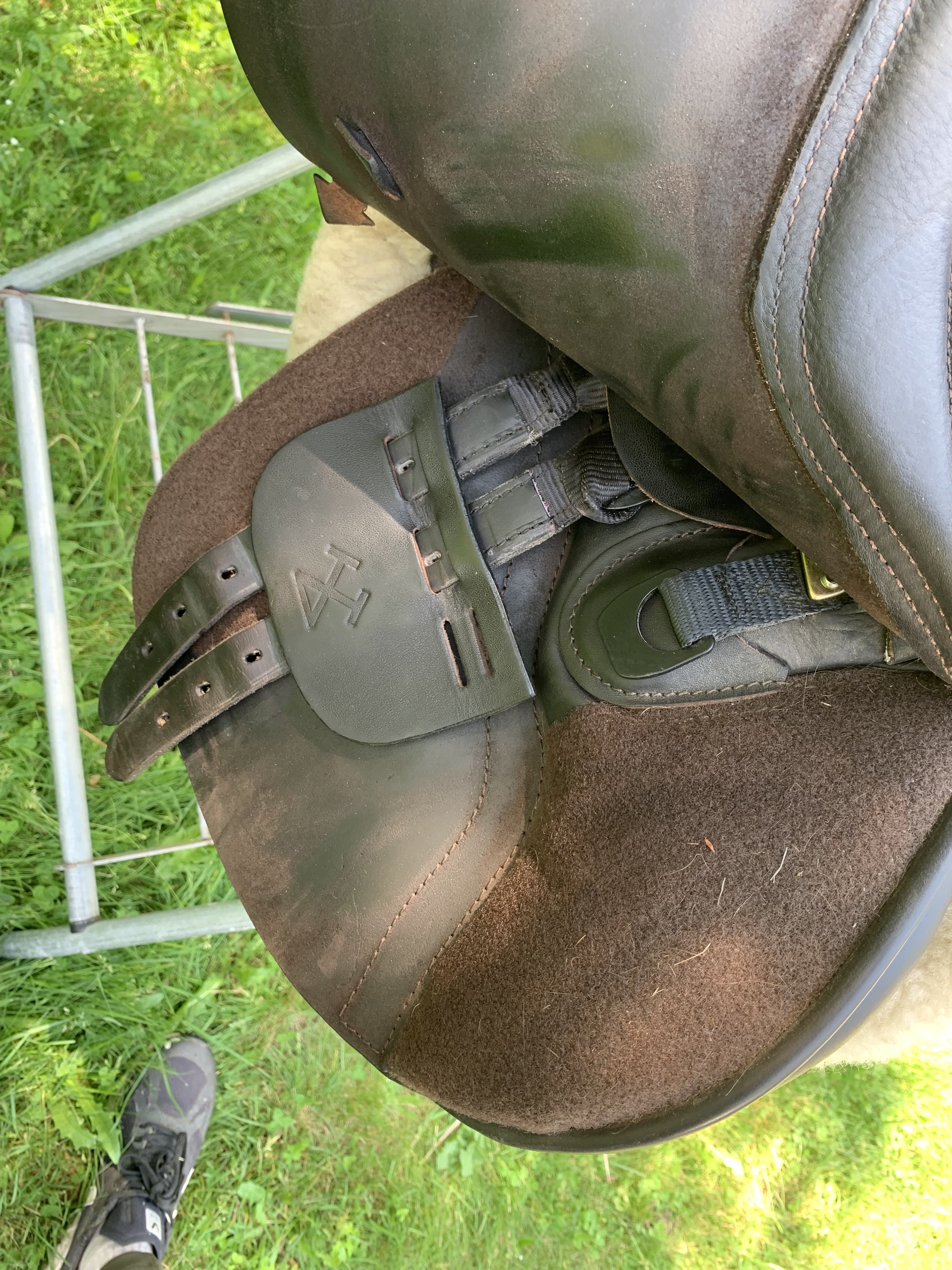 IMG_5169.jpeg