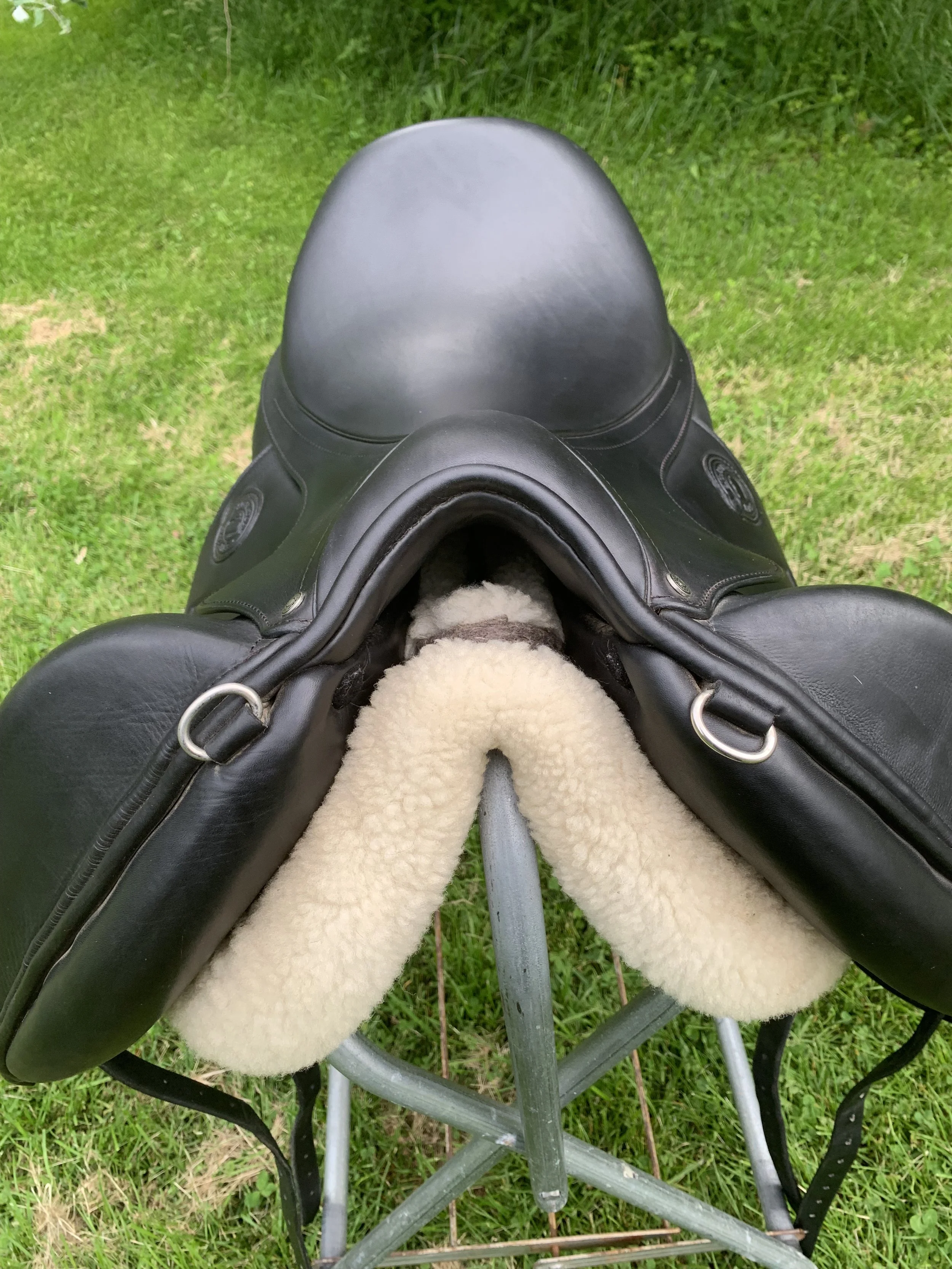 IMG_1555.jpeg
