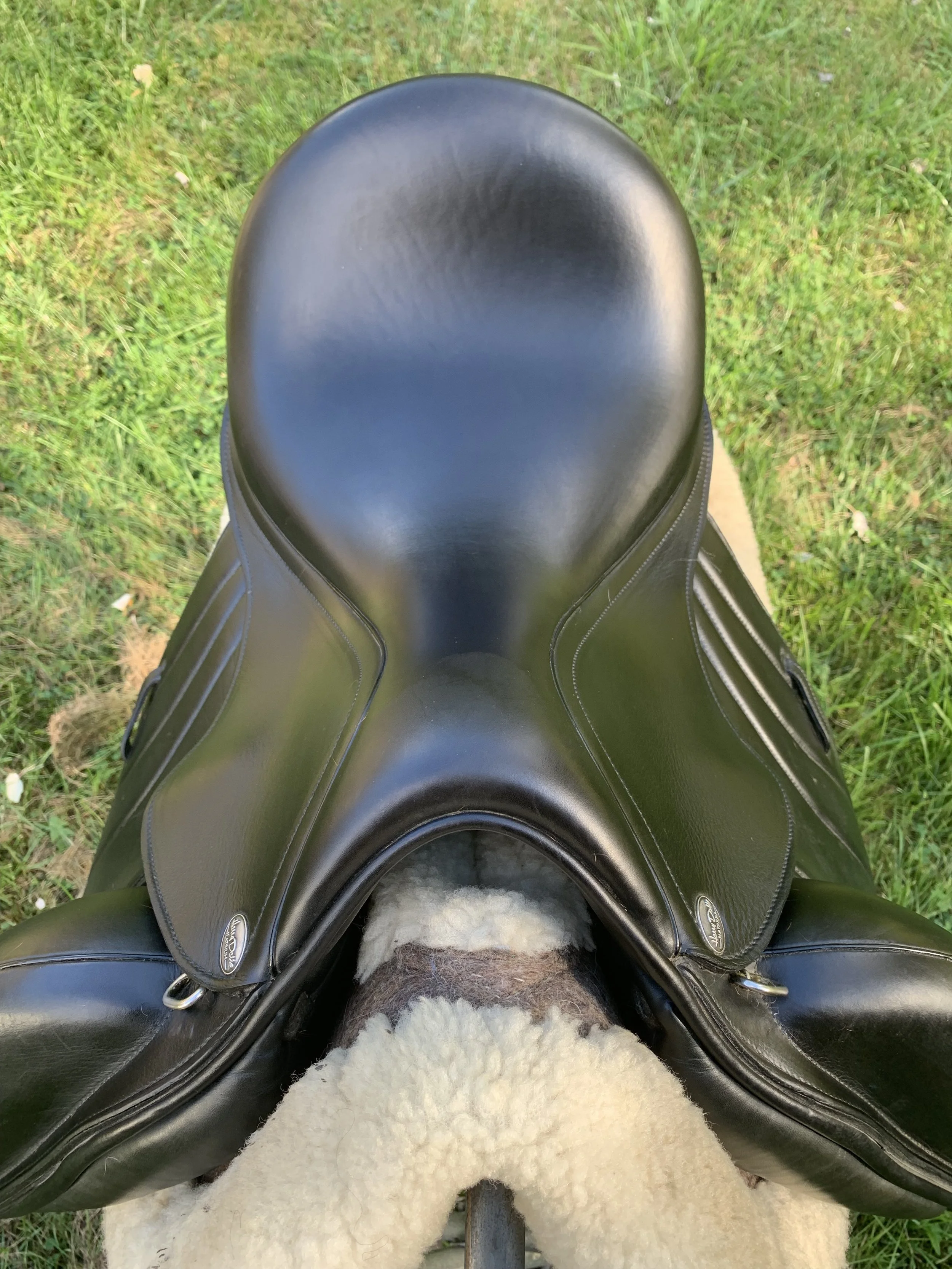 IMG_3224.jpeg
