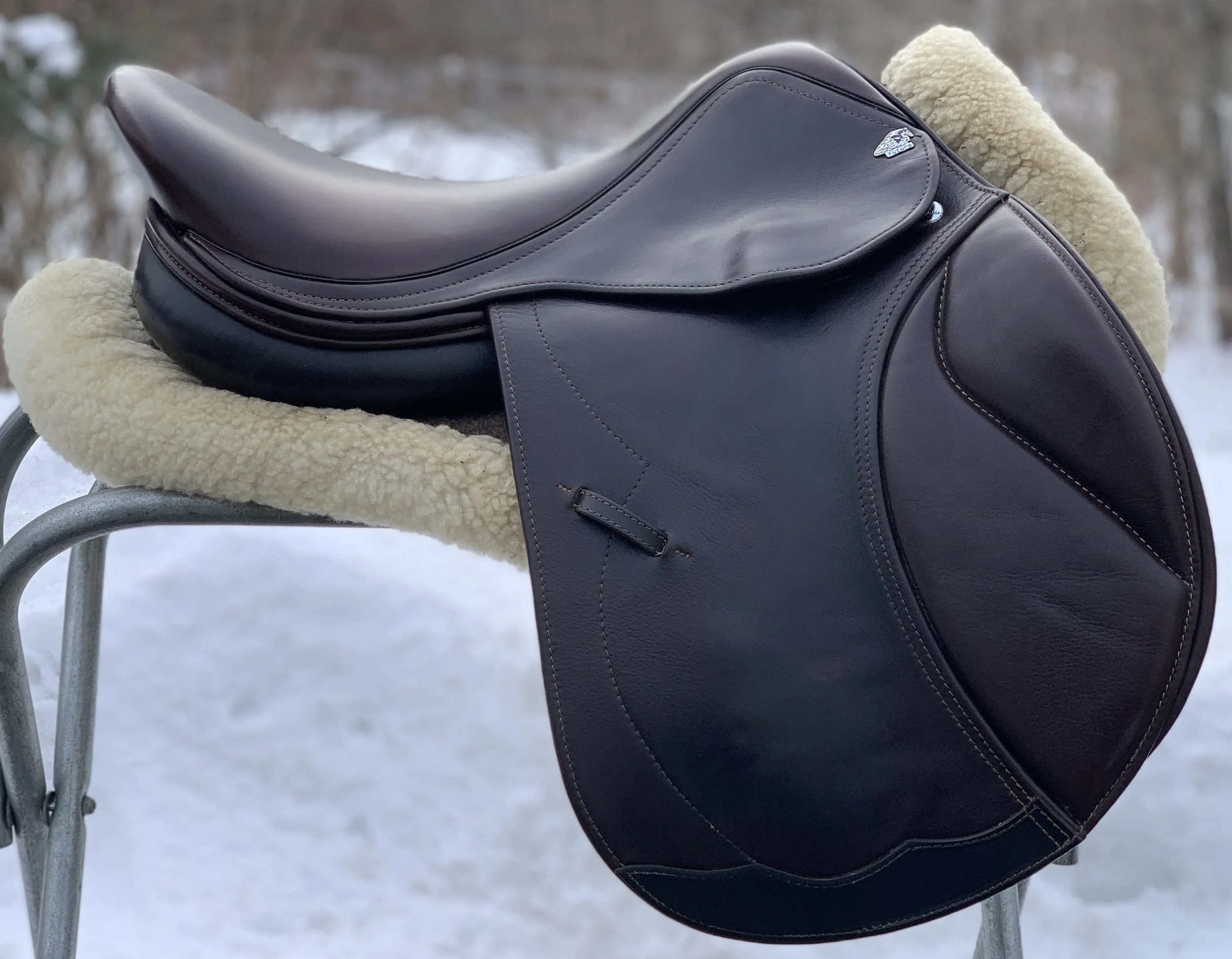 On Trial - Harry Dabbs Future IB 17.5 W Jump