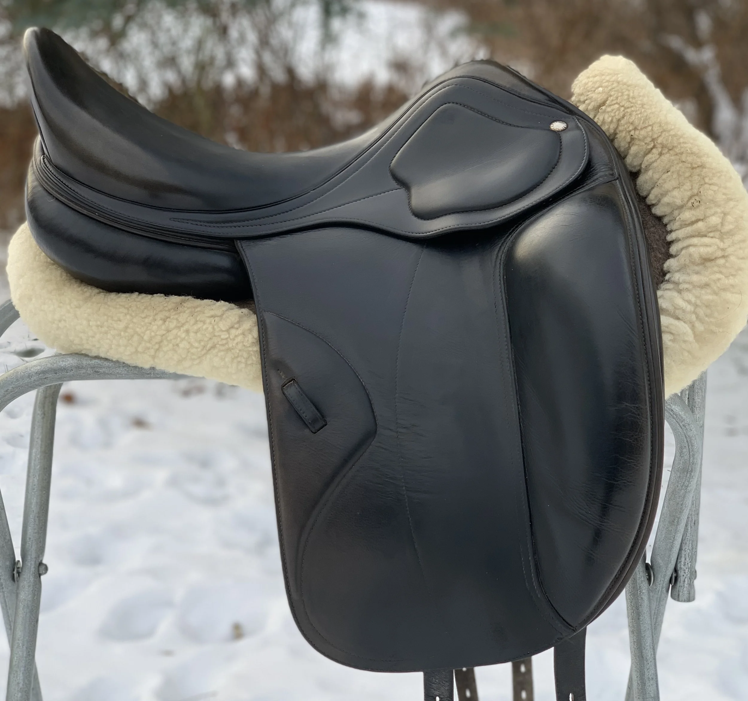 Amerigo Classic 17.5" M Dressage