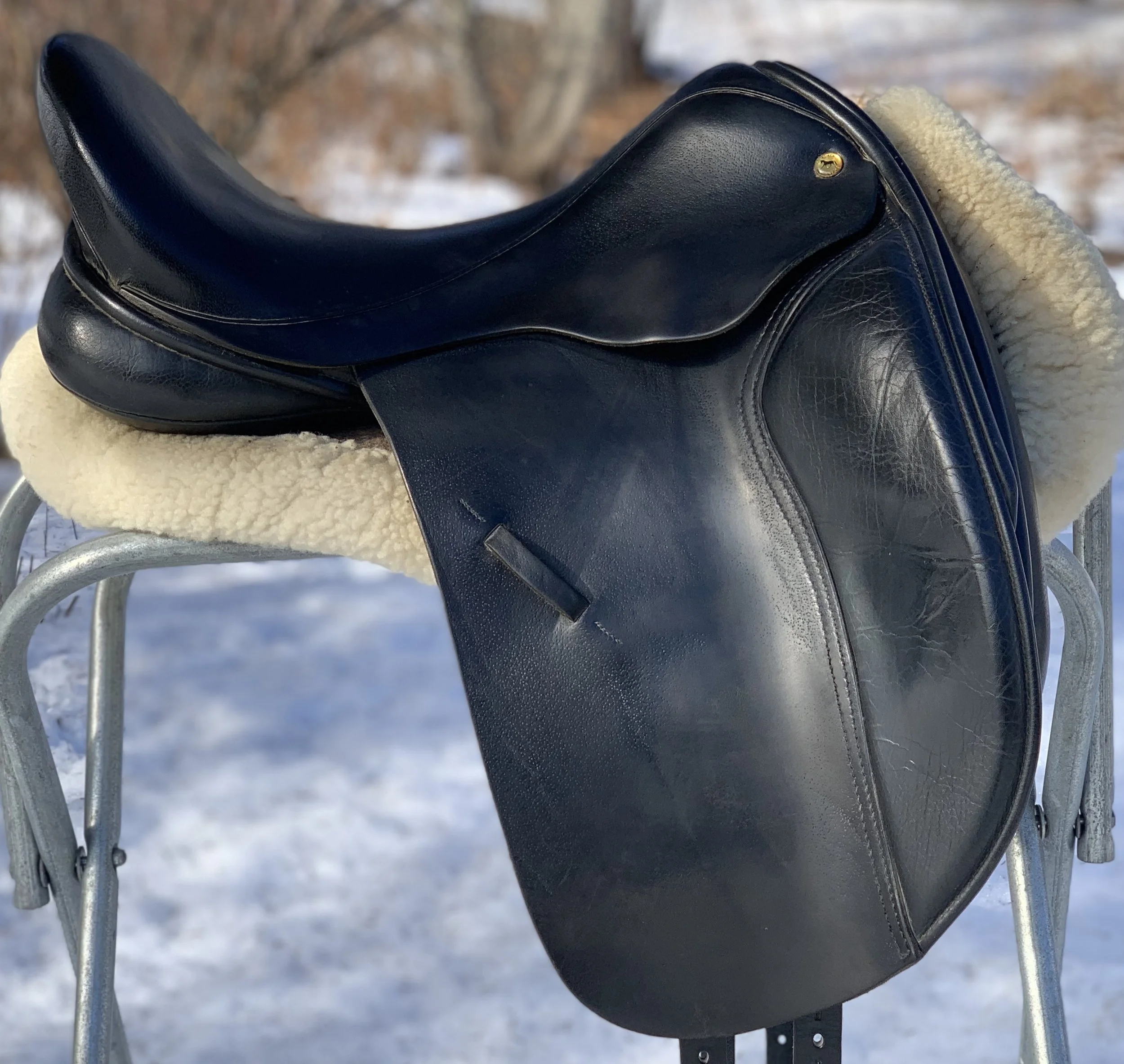 Black Country Eloquence 17.5" MW Dressage