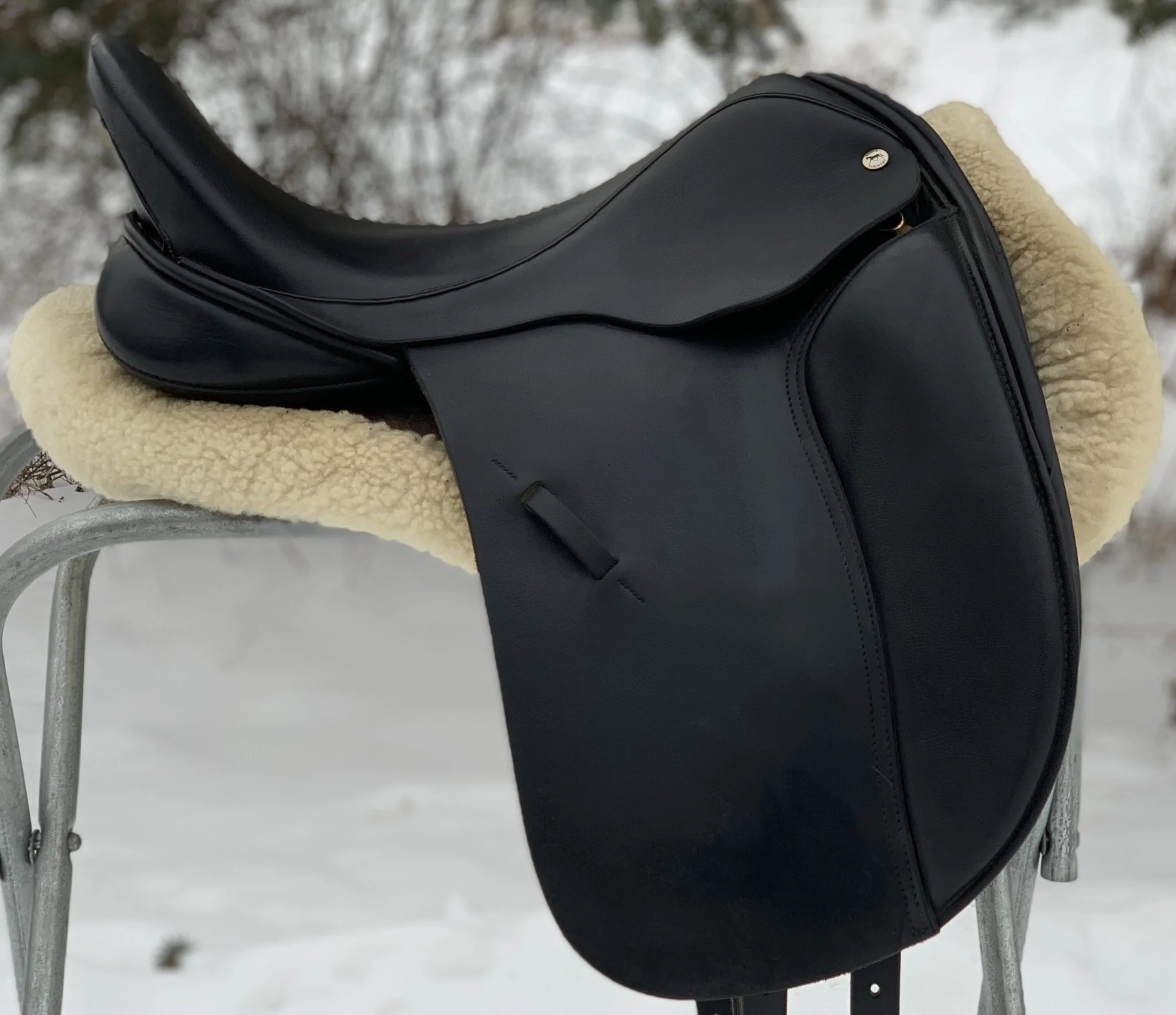 Black Country Eloquence 18" MW Dressage