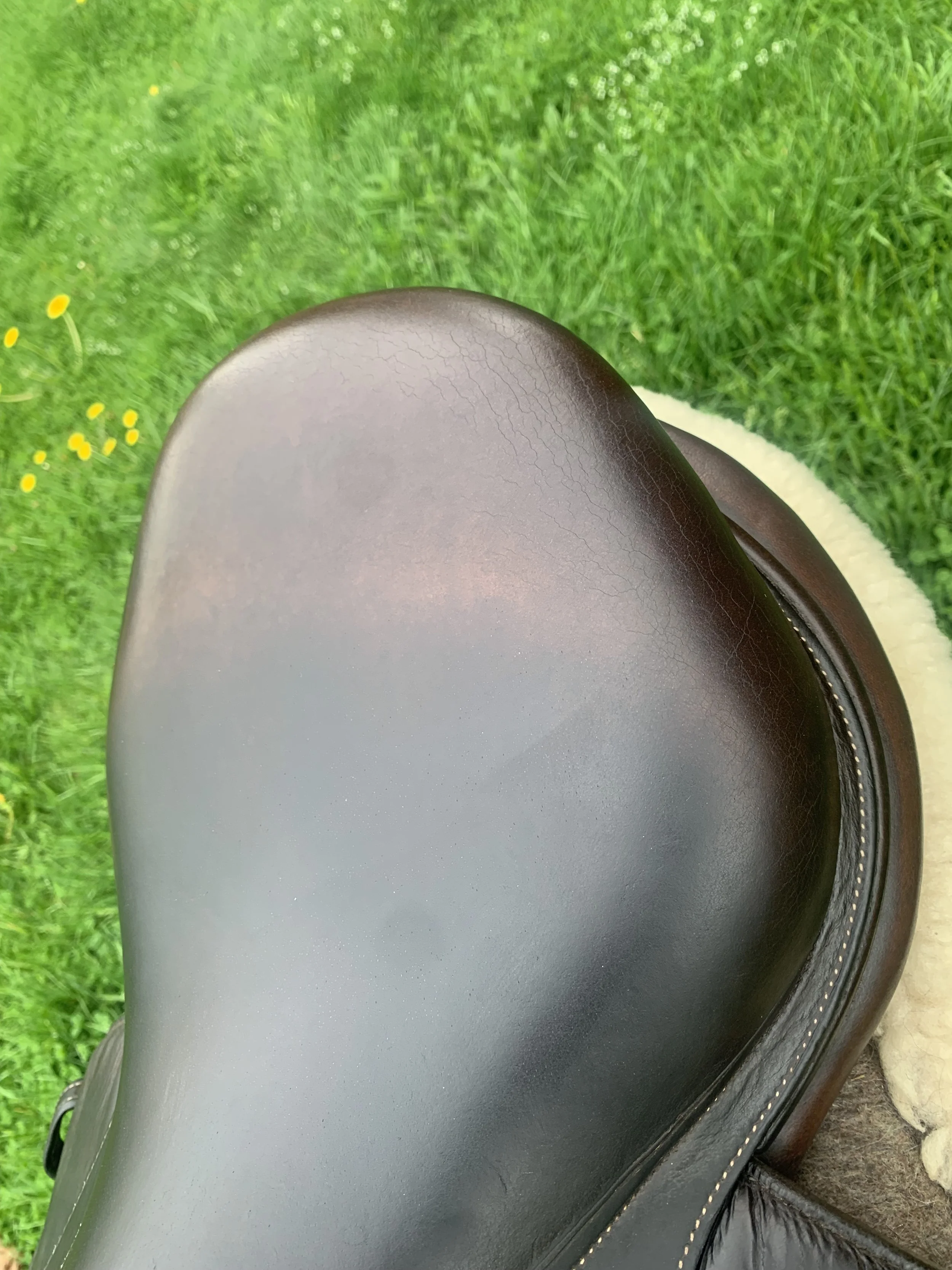 IMG_1285.jpeg