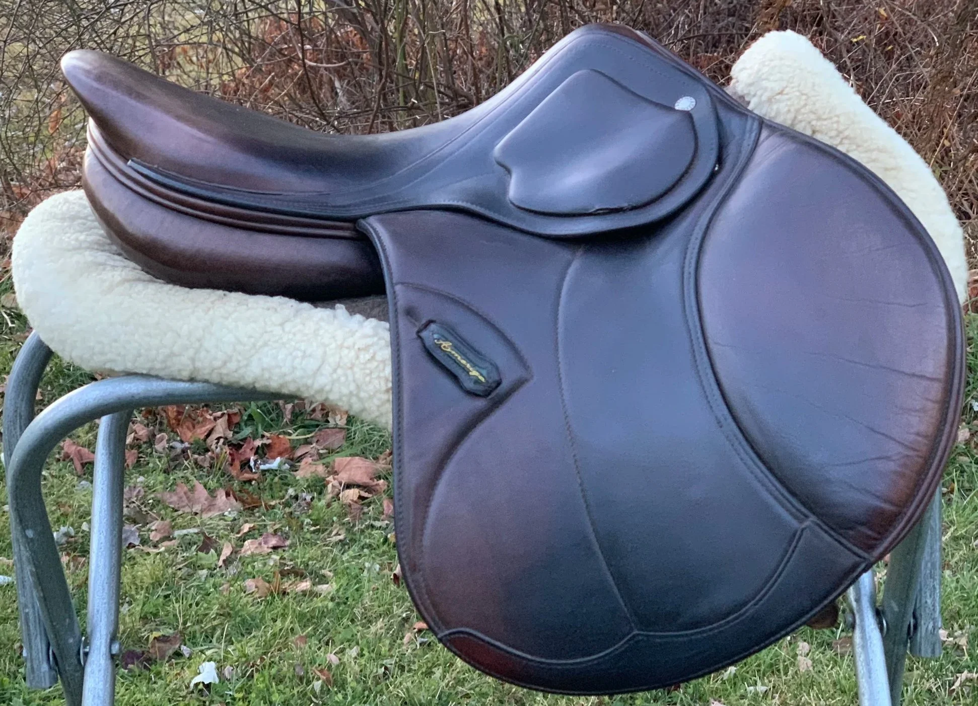 Amerigo DJ Pinerolo 17" M Jump