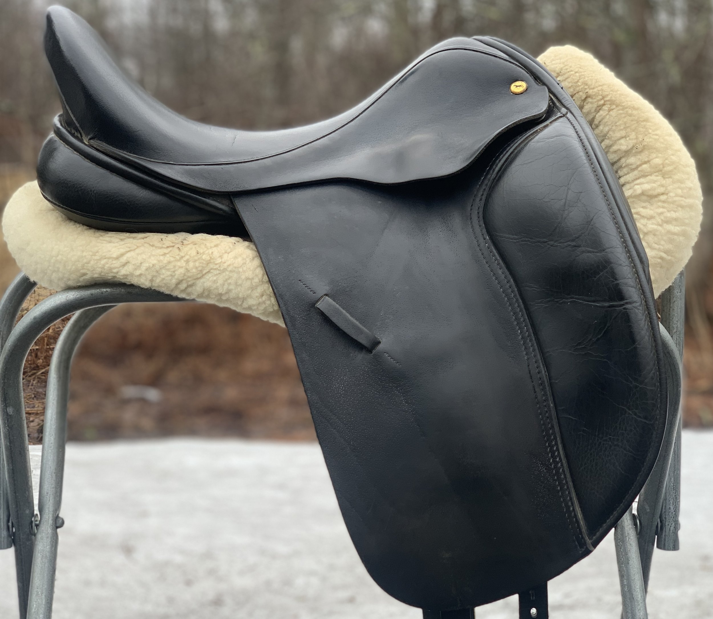 Black Country Eloquence 17.5" MW Dressage