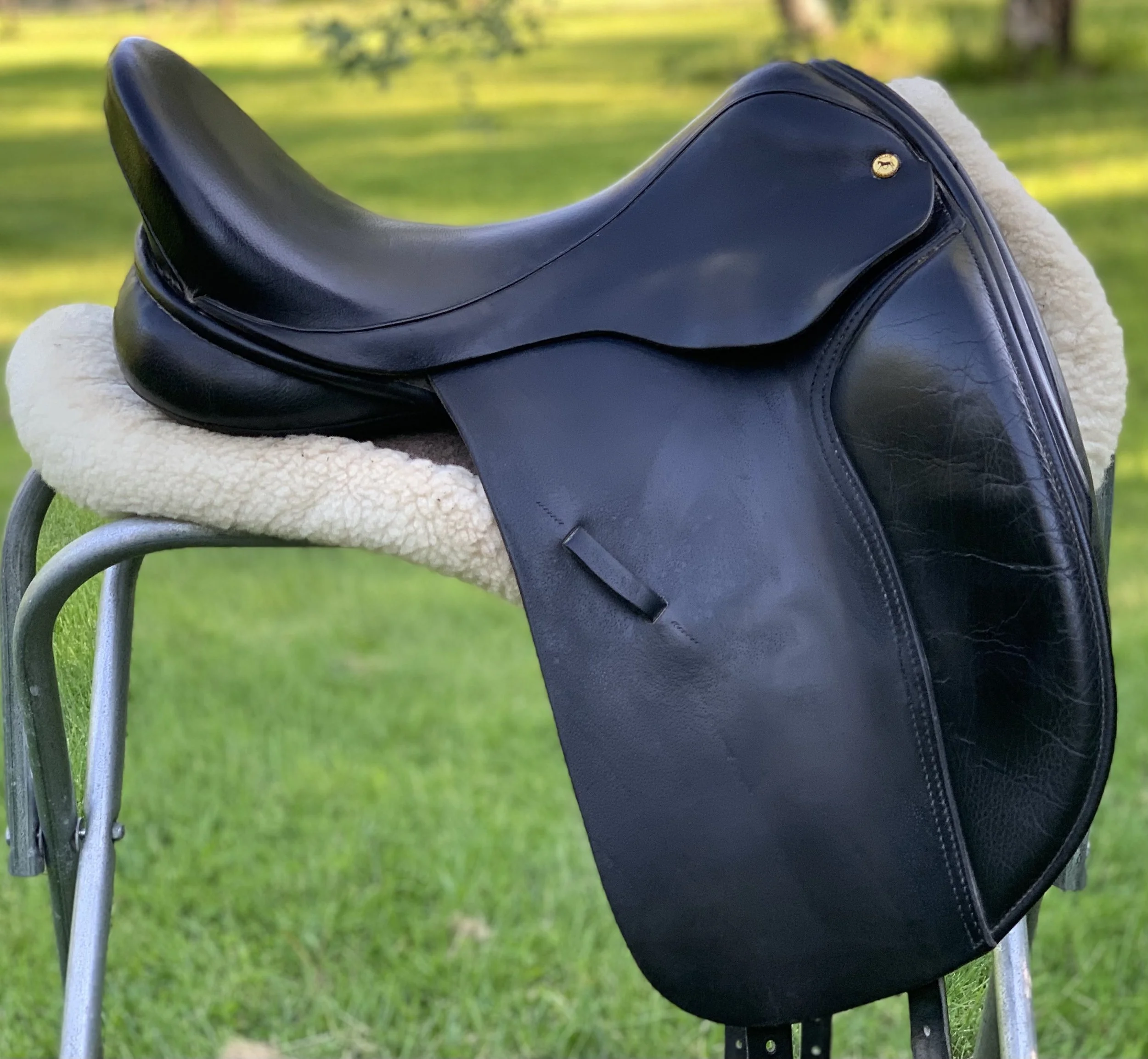Black Country Eloquence 17.5" MW Dressage