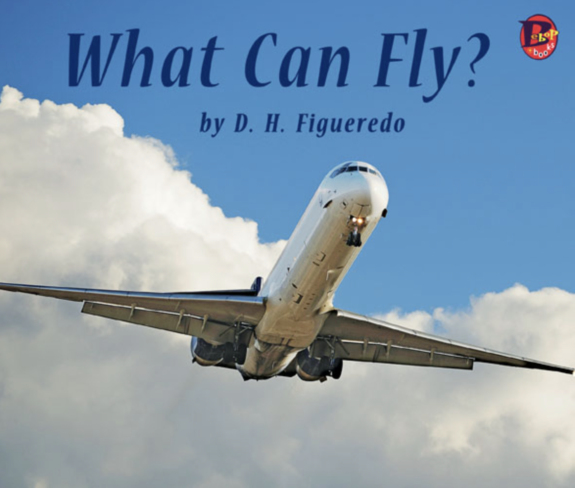 What Can Fly? - D H Figueredo.png