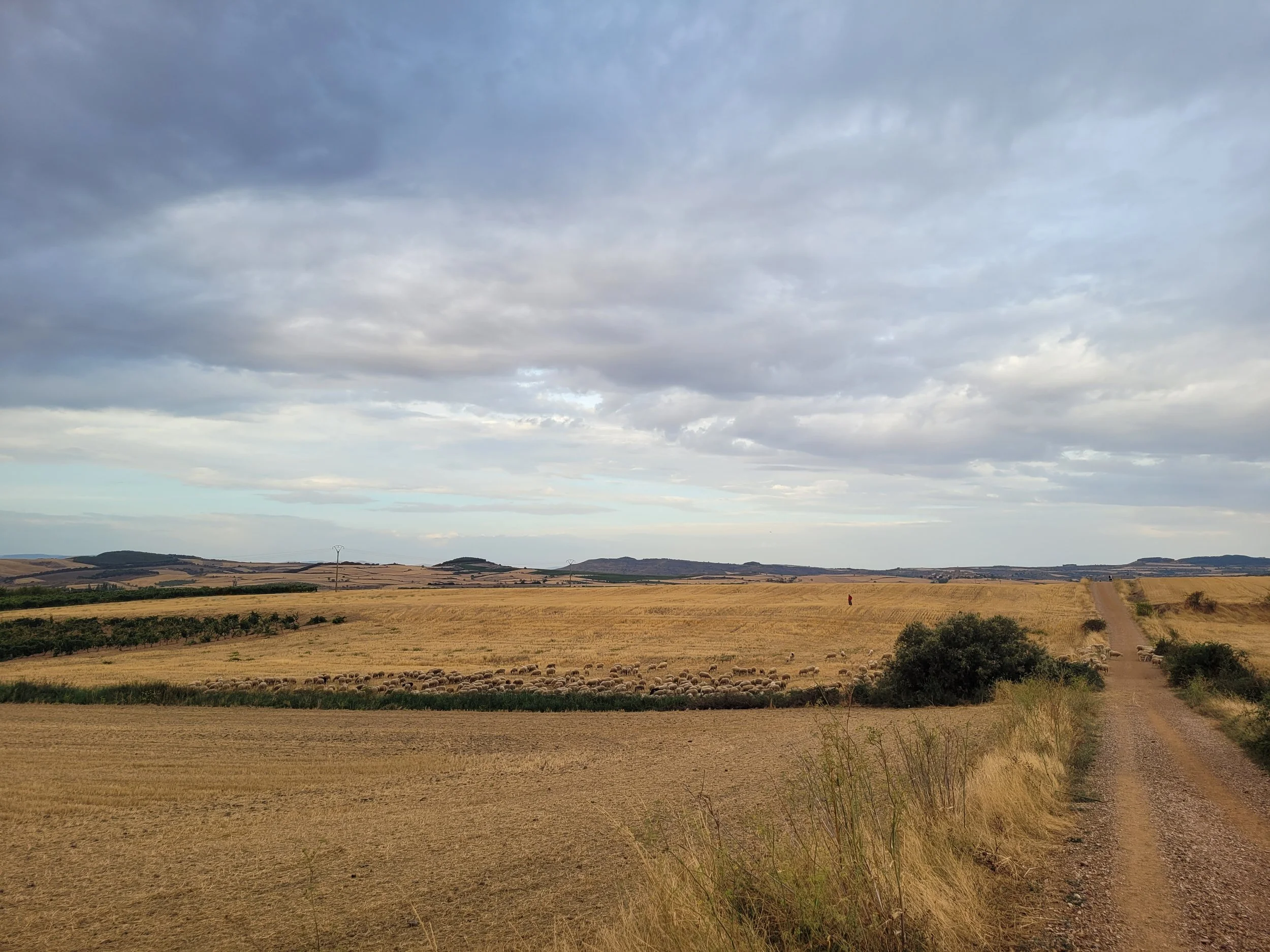 20220912_083807.jpg