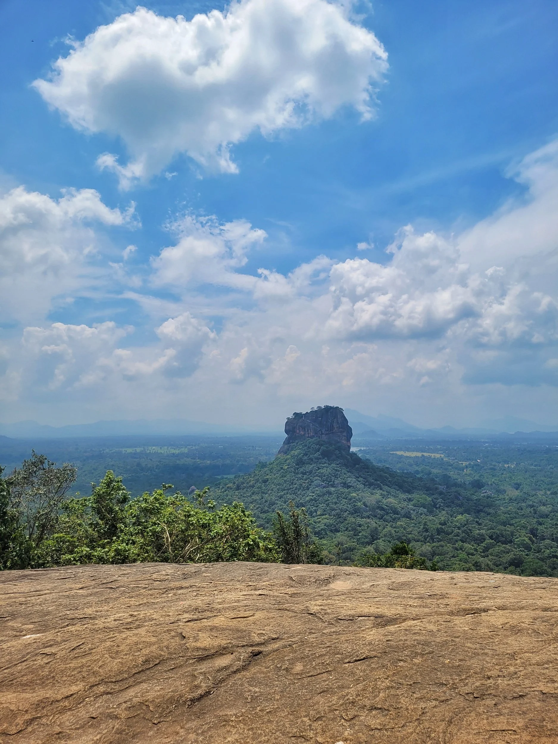 Aussicht auf den Lion's Rock vom Pidurangala Rock
