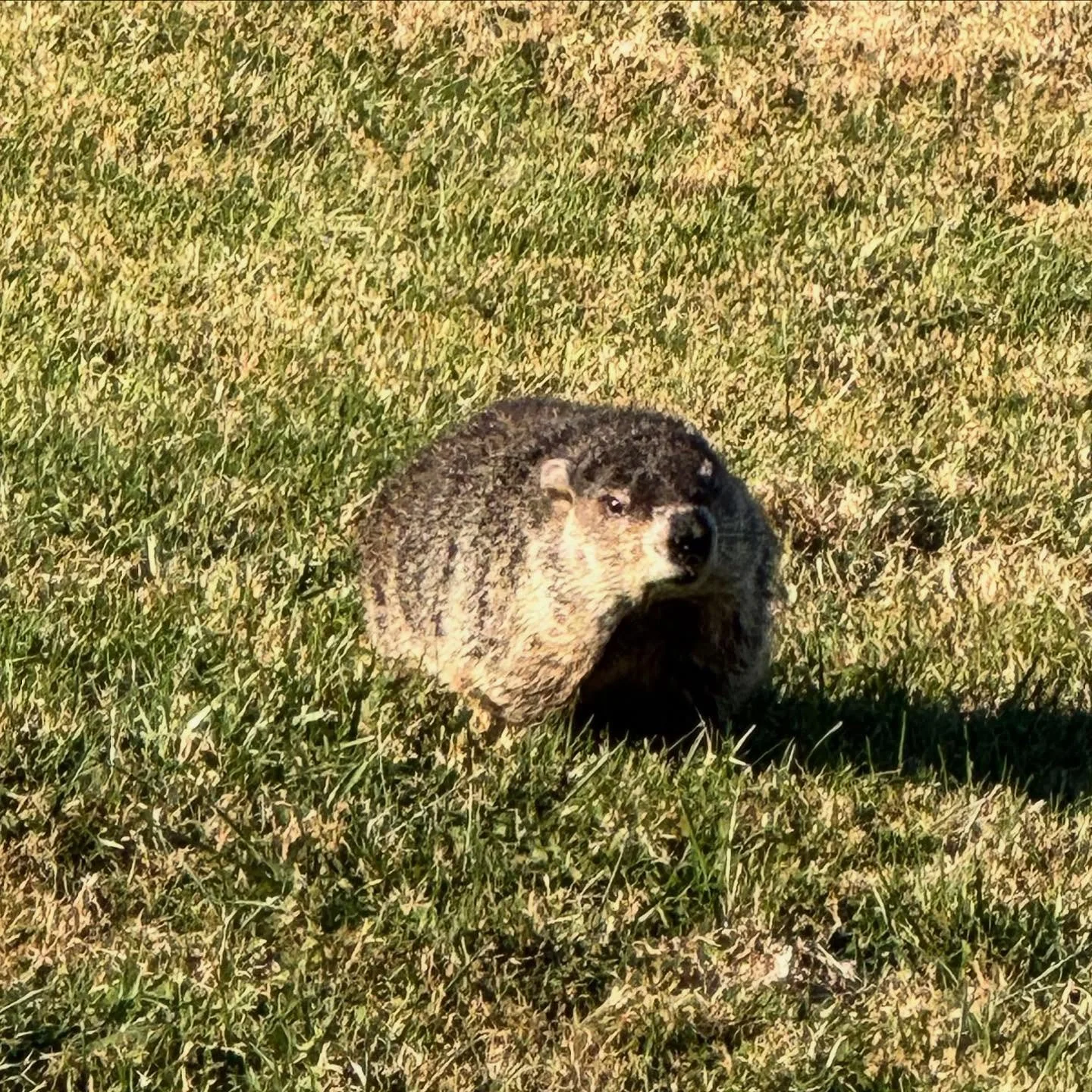 Just watching past a young one who had just started walking, happened to be talking to Alchemical Somatic Reflex teacher, Kimberly Clark. She noticed the child&rsquo;s right eye wasn&rsquo;t tracking. Of course, because of scope of practice and non-e