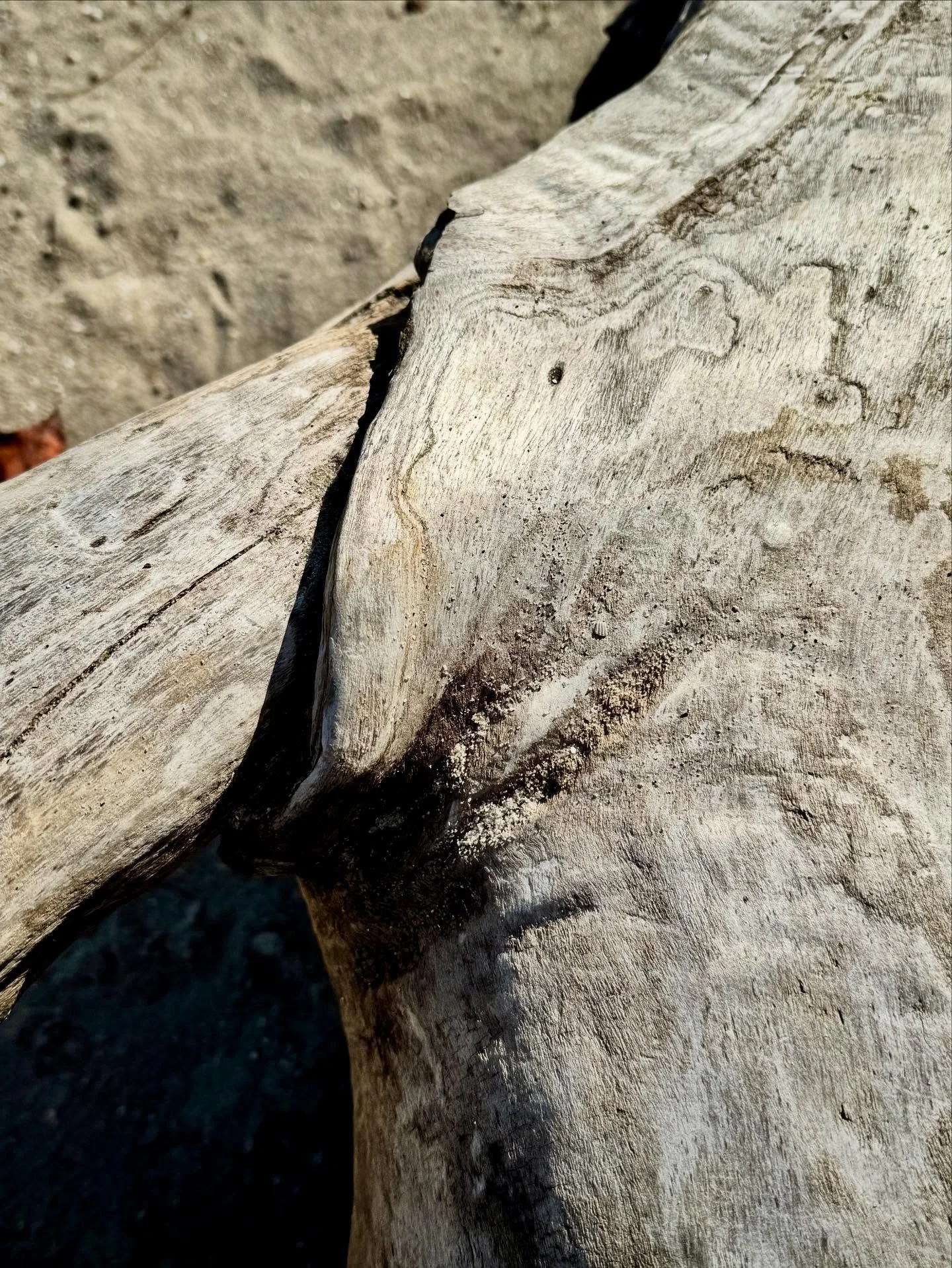 For contemplation - what if a new reality begins inside? Let it begin with me = my state&hellip; do you have tools and practices to get there? Blessings upon your path in that direction, today. 💙