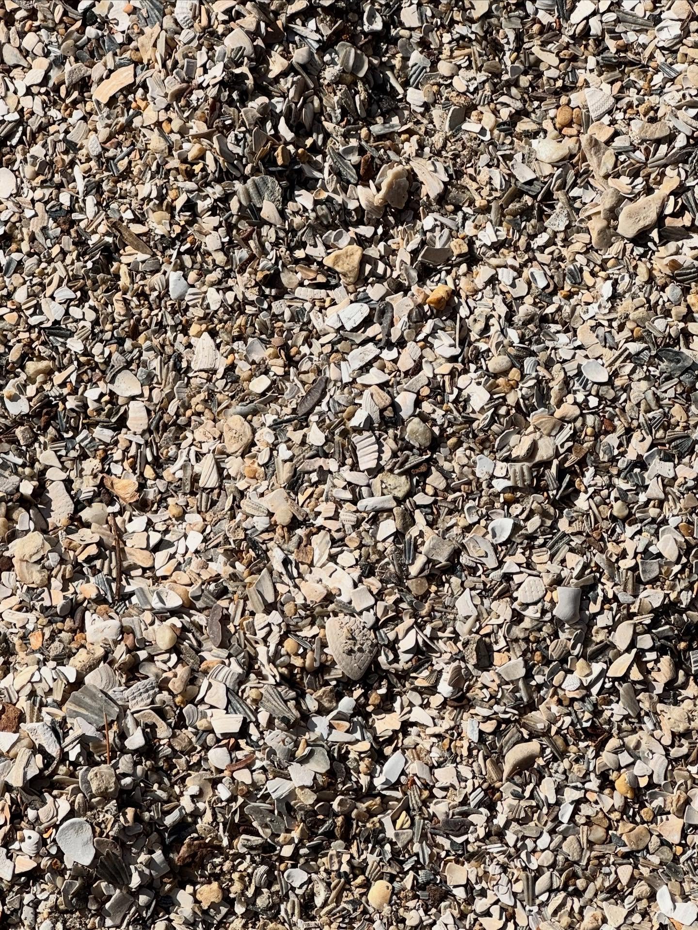 .
Counting sheep not working? (Or maybe shell fragments, like in the picture&hellip;)
So amazing to spend time with someone who has plenty of sleep resources up their sleeves. Mental concepts, positional resets, physiological supports, and so much mo